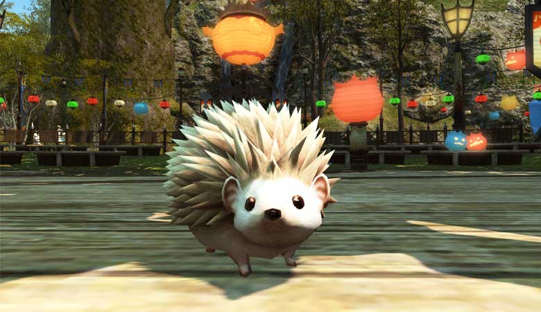 Hedgehog