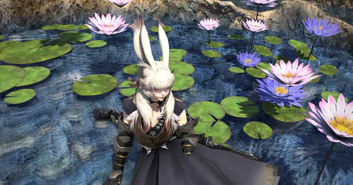 【FF14】マイペースだっていいよね？