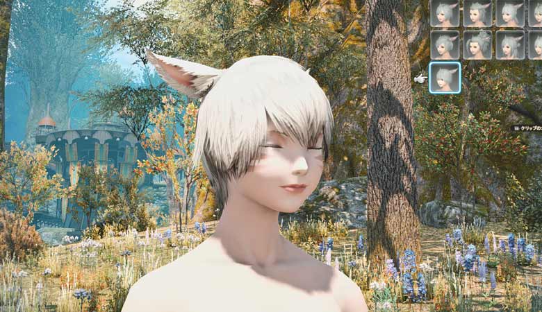 Ff14 悩む 悩むよ ミコッテになろうかどうしようか こころぐ