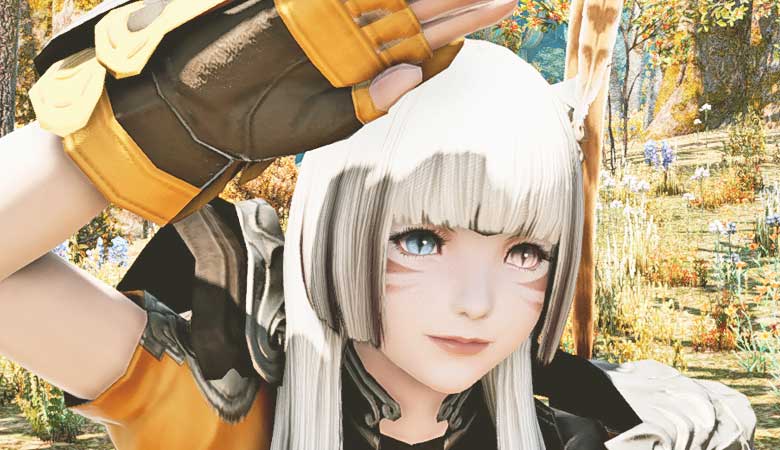 Ff14 ヴィエラのキャラメイクで遊んでみよう 3パターンご紹介 こころぐ