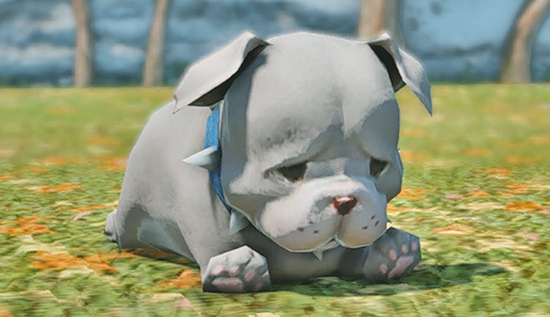 【FF14】猫派の方もぜひ！可愛い”犬系ミニオン”を見てみよう~！6種類ご紹介！